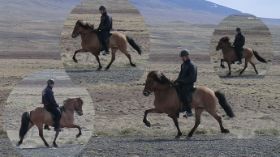 Álfrún júní 2011.jpg