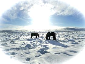 síðasta.jpg