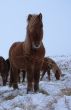 0911 Birna.jpg
